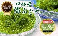 ＜2023年4月上旬～秋頃に出荷＞海ぶどう（500g×3個セット）タレ付き