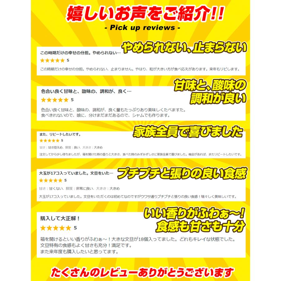 みかん 10kg 文旦 お買得 高知産 ご家庭用 ぶんたん 送料無料 食品