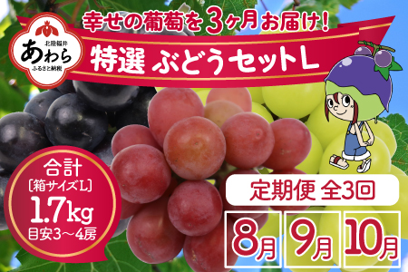 ＜全3回定期便＞特選 ぶどうセットL（8月・9月・10月）1.7kg以上（各月3～4房）／ 葡萄 ナガノパープル シャインマスカット ゴールデン シャイン 品種 おまかせ あわら 農家おすすめ ※2024年8月より順次発送