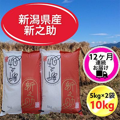 ふるさと納税 胎内市 新潟県胎内市産新之助10kg(5kg×2袋)全12回