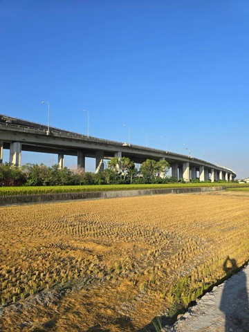 專任霧峰國道六號旁4分農地/地勢平坦/每坪2.6萬｜台中市霧峰區舊正東段