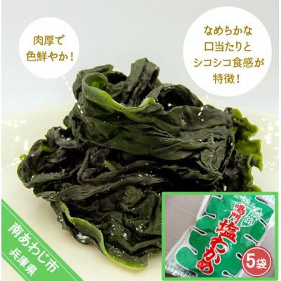 ふるさと納税 南あわじ市 肉厚塩わかめ250g×5袋