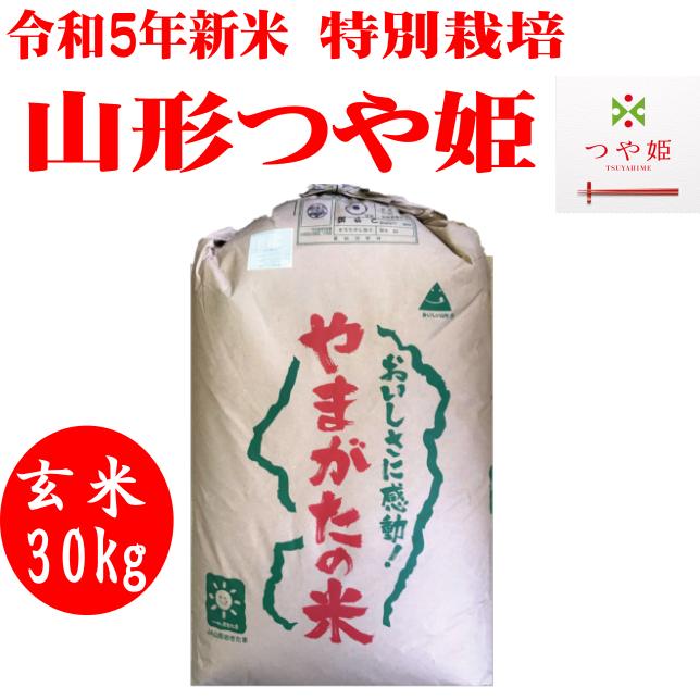 令5年新米　玄米30kg　送料無料　特別栽培山形つや姫