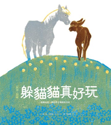 躲貓貓真好玩（精裝）[二手書_近全新]
