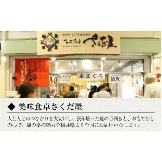 ふるさと納税 福井県 福井市 自家製 手作り 焼き鯖寿司  (生姜入) 1本 [A-065030]