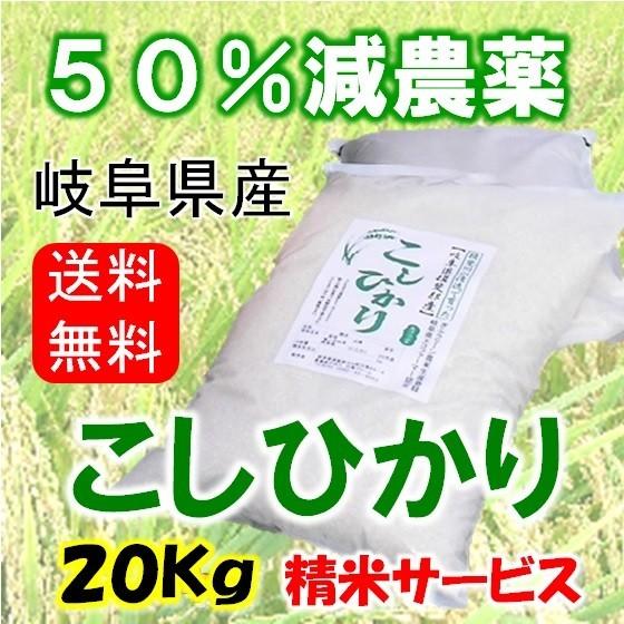 令和５年産岐阜県産 コシヒカリ 玄米20Kg（10kg×2）分ツキ可（こしひかり北海道 沖縄 離島は追加送料