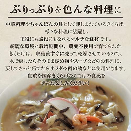 森のきのこ倶楽部 乾燥 きくらげ 300g 国産   マルチ食材   水で簡単に戻る 木耳 肉厚   家庭用   業務用 ギフト