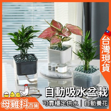 盆栽 自動吸水器 🇹🇼台灣現貨+免運🔥 自動澆花 懶人 花卉盆栽 吸水容器 室內 自動吸水盆栽 自動吸水器 定時給水