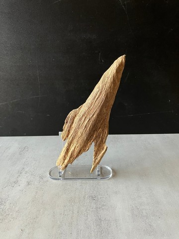 【中階款】野生加里曼丹沉香擺件ABK80(37g)