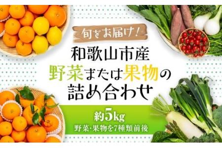 旬をお届け！和歌山市産・野菜または果物の詰め合わせ