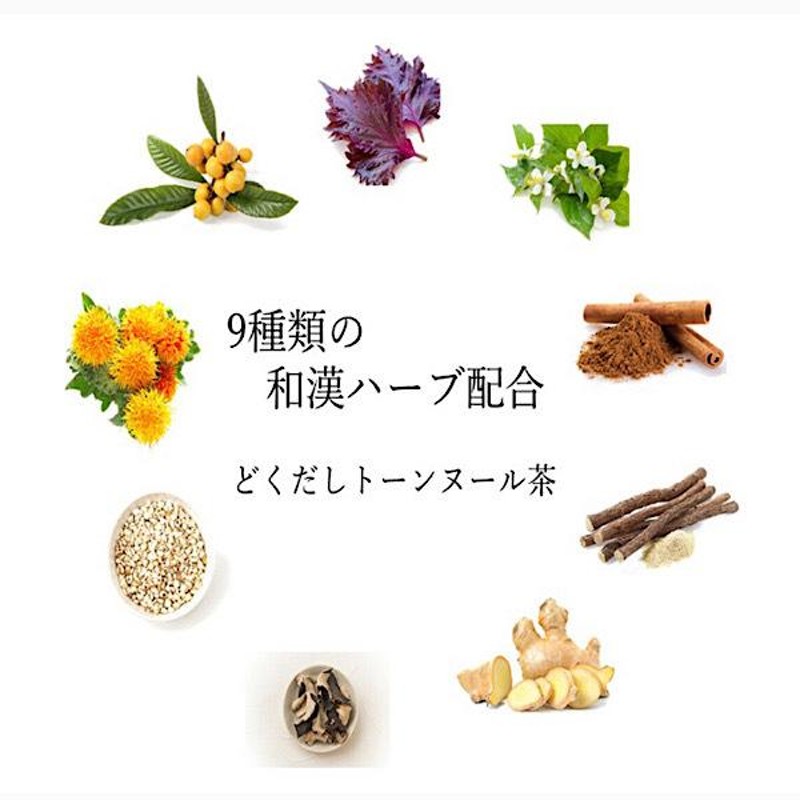 トーンヌール 和漢茶 薬膳茶 健康茶 デトックス リエイジ - ダイエット