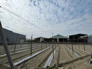 大社近國十非都1️⃣甲方正農地｜高雄市大社區尖山腳段