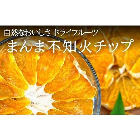 ふるさと納税 ドライフルーツ しらぬいチップ 100g 20g × 5袋 和歌山県産 果物使用 自社製造  和歌山県有田川町