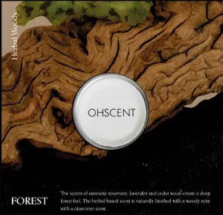 OHSCENT 精緻車上香氛補充包-森林