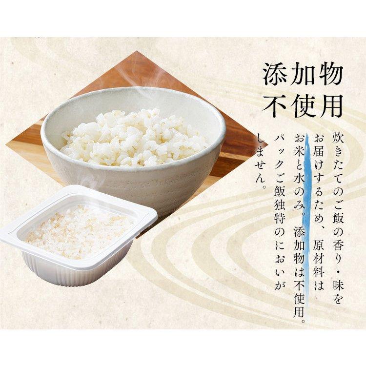 レトルトご飯 パックご飯 ごはん パック レンジ 180g 48食 長期保存パックごはん 180g×12パック 4個セット アイリスフーズ