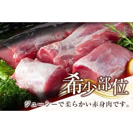 ふるさと納税 ≪数量限定≫豚ヒレブロック(計3kg以上)　肉　豚　豚肉　国産 CC37-23 宮崎県日南市