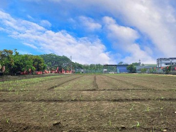 超急售！湖內/免整理/有水有大電都內農地15344｜高雄市湖內區寧靖段
