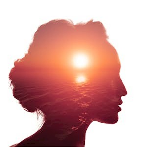 Personality in Action: Science to Shape Your Life