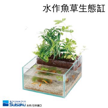 SUISAKU 日本進口-  魚草生態缸