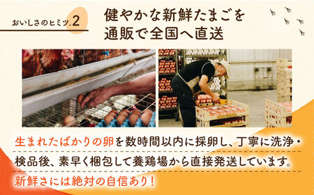 赤たまご M玉 90個（85個＋5個割れ保証）タマゴ 玉子 熊本県たまご 卵 国産たまご 新鮮たまご あかたまご M玉たまご 熊本たまご 濃厚たまご [ZCA015]