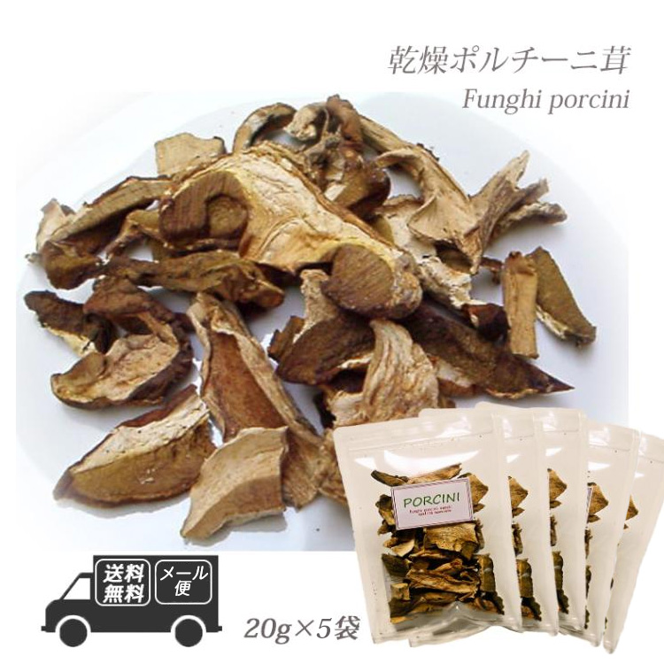 イタリア産 乾燥 ポルチーニ茸 100g  20g×5袋 