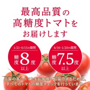 a10-371　アメーラ トマト 高糖度 トマト 産地 直送 化粧箱入
