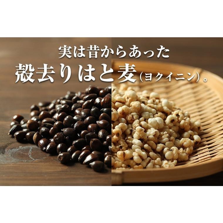 ハトムギ スナック 100g 3袋 セットそのまま 食べる はと麦 ヨクイニン はとむぎの実 はとむみ 送料無料