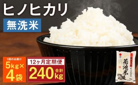 熊本県菊池産 ヒノヒカリ 無洗米 計240kg（5kg×4袋×12回）精米 お米 白米