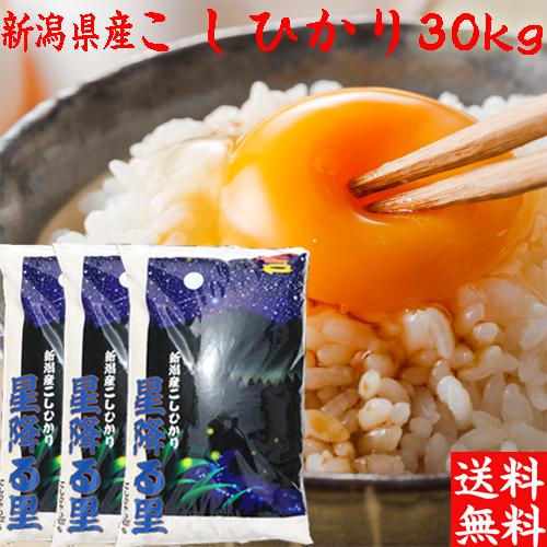 新米 令和5年 3分づき 新潟産 コシヒカリ 30kg 送料無料 胚芽米 胚芽精米 分づき 米