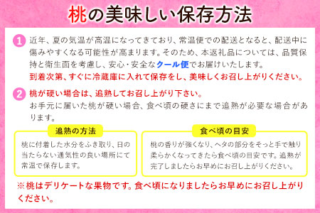 和歌山県紀の川市産 白鳳 ＜赤秀＞ 5-8玉入り 桃 モモ もも 株式会社松源《2024年6月下旬-7月中旬頃より順次出荷》和歌山県 紀の川市