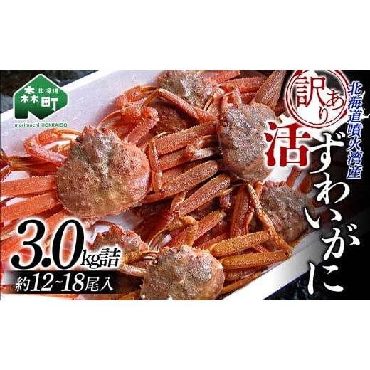 ふるさと納税 北海道 森町 北海道噴火湾産活ずわいがに 3.0ｋｇ詰め込みセット ＜道産ネットミツハシ＞ かに カニ…