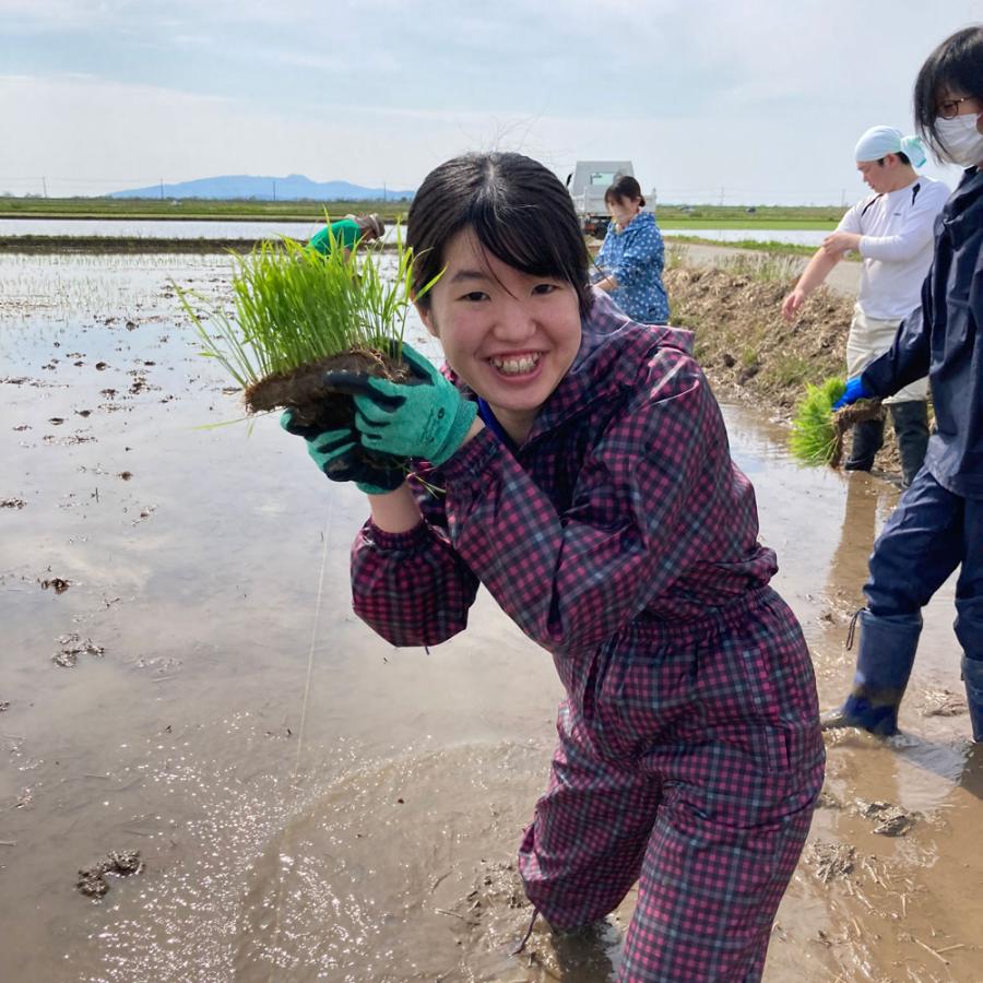 新米 お米 米 30kg （5kg×6袋） 玄米 あきたこまち 令和5年産 秋田県産 農家直送 古代米お試し袋付き