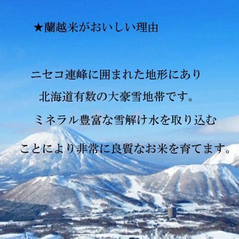 精米ななつぼし 5ｋｇ4年産 北海道蘭越産