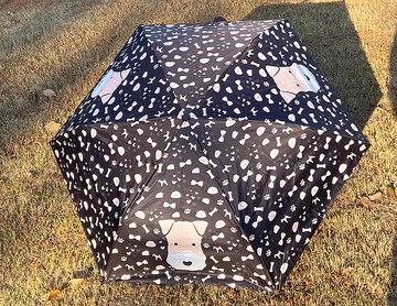 Wirefoxterrier 剛毛獵狐梗 黑色小鐵傘