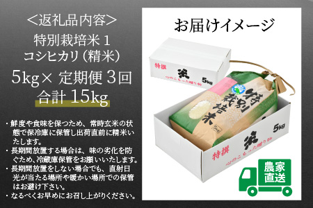 《定期便3回》コシヒカリ 精米 5kg （計15kg）特別栽培米 農薬不使用 化学肥料不使用 ／ 高品質 鮮度抜群 福井県産 ブランド米 白米 あわら