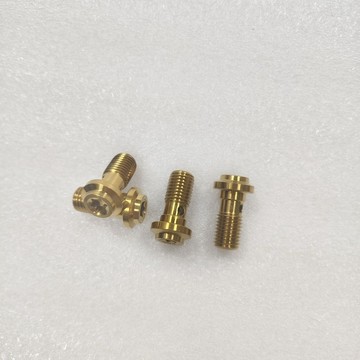 【臺灣出貨】不鏽鋼金色油管螺絲M10*1.25/1.0碟頭蝶頭內梅花剎車油管螺絲