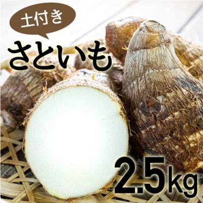 ふるさと納税 四万十町 四万十町産「土付きさといも」2.5kg