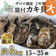 サロマ湖産殻付き2年牡蠣　大　約3kg(約15個～25個)