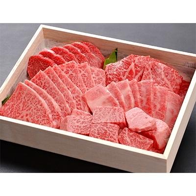 ふるさと納税 新温泉町 但馬牛焼肉セット