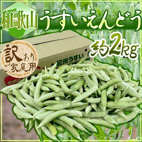 紀州・和歌山 ”うすいえんどう” 約2kg 訳あり ご家庭用 送料無料