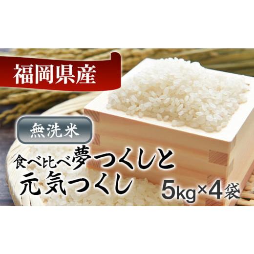 ふるさと納税 福岡県 田川市 新米 令和5年産　福岡県産米食べ比べ（無洗米）「夢つくし」と「元気つくし」セット　計20kg