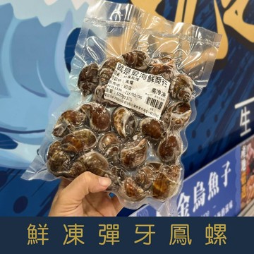 【就是愛海鮮】鮮凍彈牙鳳螺(500g±10%/包) 清爽口感 開胃料理[量大可配合批發/團購]