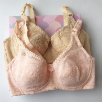 夏季新純棉軟鋼圈超薄款無海綿BC杯女士文胸/胸罩 內衣白色