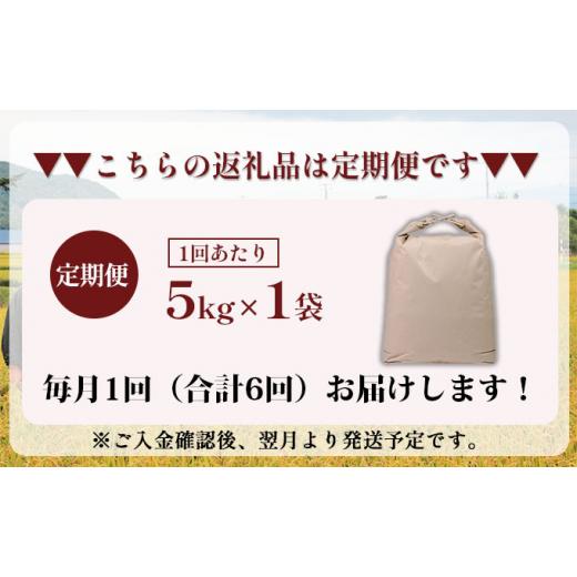 ふるさと納税 北海道 仁木町 6ヵ月連続お届け　銀山米研究会の玄米＜ゆめぴりか＞5kg