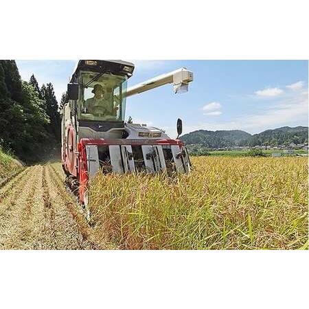 ふるさと納税 48-M103新潟県長岡産特別栽培米コシヒカリ10kg 新潟県長岡市