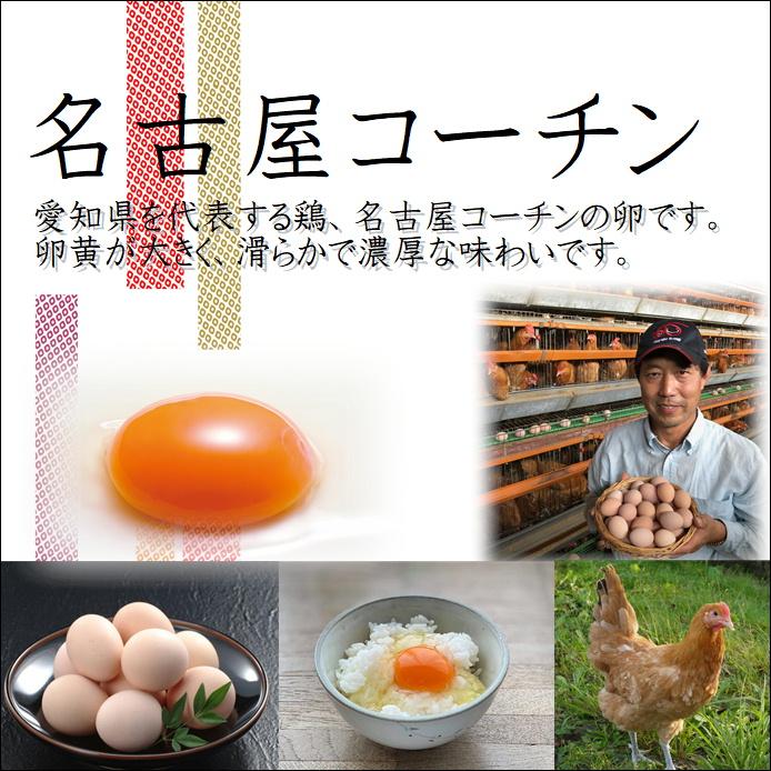 業務用　日本三大地鶏！！ 「純系　名古屋コーチンの卵」（90個）　本当に美味しい食べ物は調味料の味に負けません！