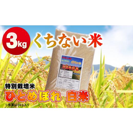 ふるさと納税 岩手県 北上市 令和5年産 くちない米（特別栽培米 ひとめぼれ 白米）3kg