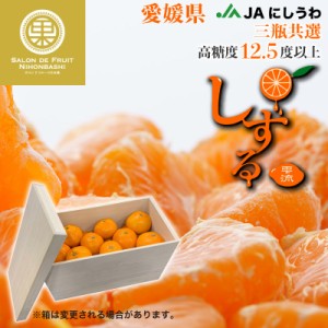 [予約 2023年 11月15日-12月15日の納品] しずる (雫琉)もしくは媛美月 約4kg 桐箱 愛媛県産 JAにしうわ 三瓶共選 JA八協共選