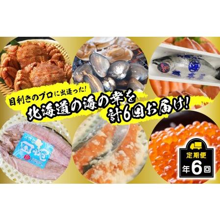 ふるさと納税 ＜2024年2月から順次発送＞ 北海道産 海の幸 定期便