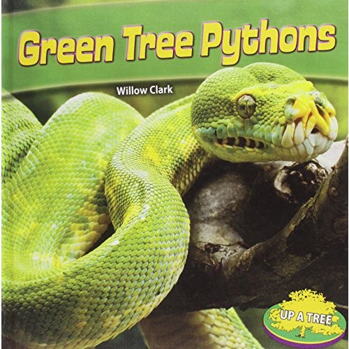 Green Tree Pythons (Up a Tree)